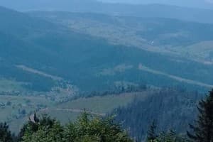 Червона Калина 2