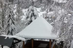 Червона Калина 10