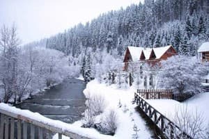 Червона Калина 4