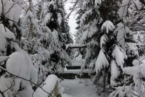 Червона Калина 7