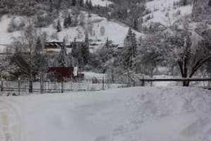 Червона Калина 3