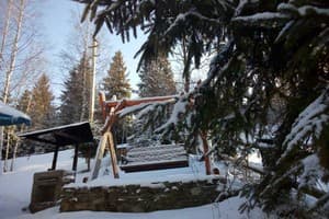 Червона Калина 9