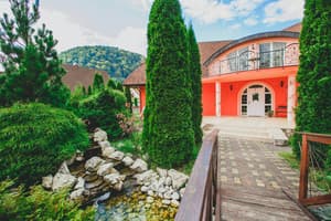 Червона Рута 3