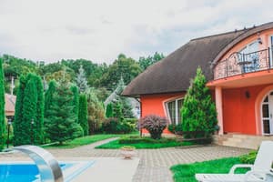 Червона Рута 5