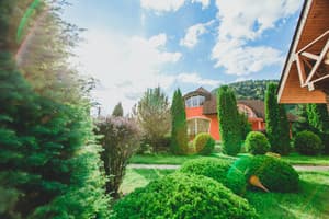 Червона Рута 26