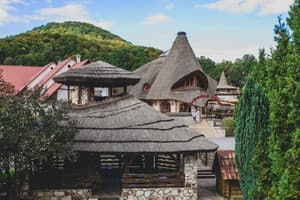 Червона Рута 27