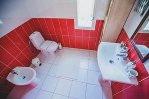 Червона Рута 8