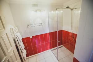 Червона Рута 10