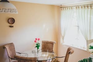 Червона Рута 11