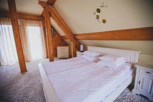 Червона Рута 17