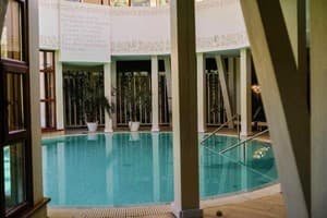 Червона Рута 12