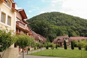 Червона Рута 13