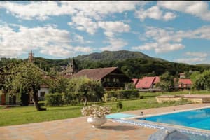 Червона Рута 23