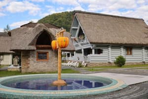 Червона Рута 24