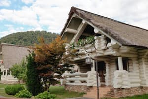 Червона Рута 26