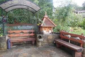 Червона калина 7