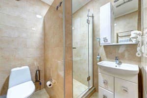 Отель Continental (Контіненталь). Полулюкс трехместный  5