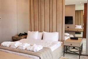 Спа-отель Crona Hotel&Spa. Делюкс двухместный ДеЛюкс 14