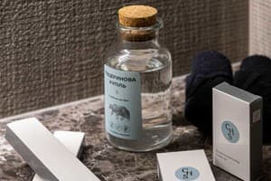 Спа-отель Crona Hotel&Spa. Делюкс двухместный ДеЛюкс 24