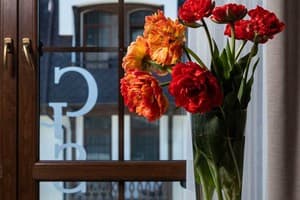 Спа-отель Crona Hotel&Spa. Делюкс двухместный ДеЛюкс 40
