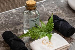 Спа-отель Crona Hotel&Spa. Делюкс двухместный ДеЛюкс 41