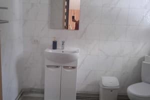 Цвет Яблони 13