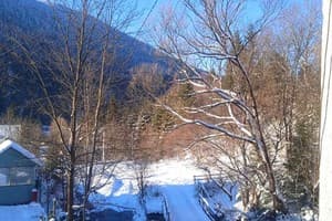 Цвет Яблони 10