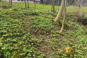 Цветная жизнь 5