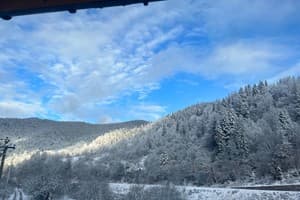 Цветная жизнь 4