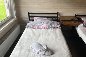 Цветная жизнь 8