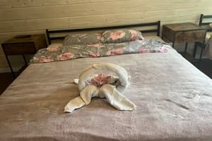 Цветная жизнь 11