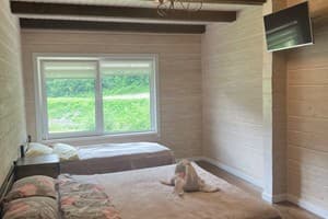 Цветная жизнь 16