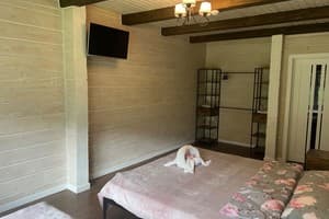 Цветная жизнь 12