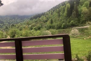 Цветная жизнь 18