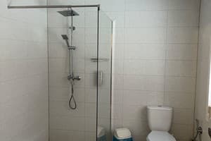 Цветная жизнь 13