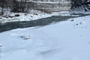 Коттедж Цветная жизнь. Стандарт 4-местный 10в 10