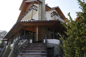 Цвіт папороті 17