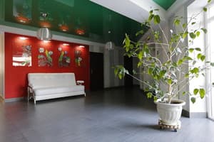 Цвіт папороті 9