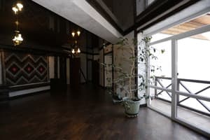 Цвіт папороті 10