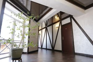 Цвіт папороті 13