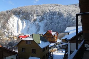 Цвіт папороті 17