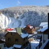 Цвіт папороті 17-18/19