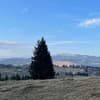 D.A.T hill 28-29/29