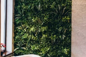 Diamond Resort Black 21