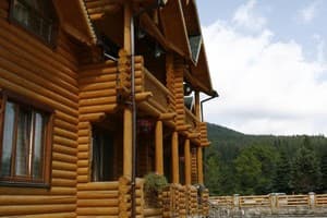 Дикий кот 11