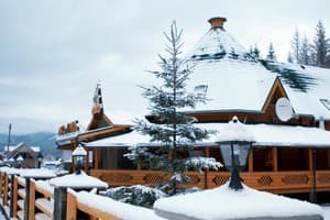 Дикий кот 12