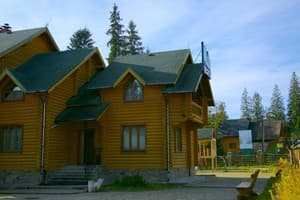 Отель Дикий кот