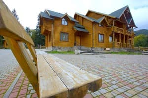 Дикий кот 14