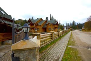 Дикий кот 10