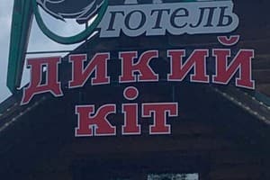 Отель Дикий кот